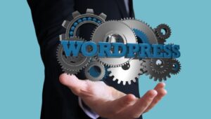 WordPress development services